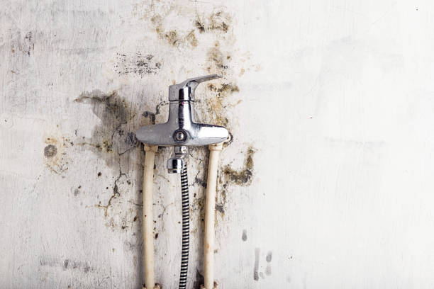 Best Best Mold Removal Companies  in Peachtree Corners, GA