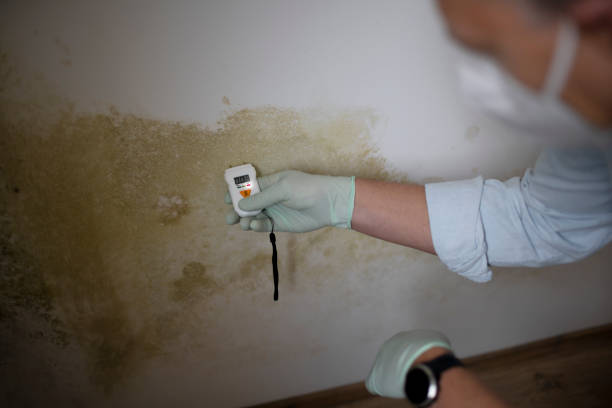 Best Crawl Space Mold Removal  in Peachtree Corners, GA