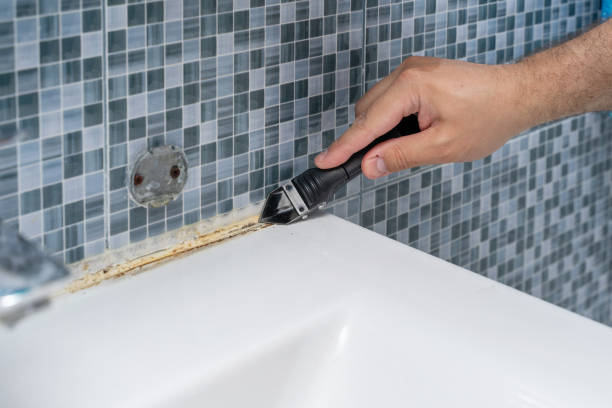 Best Mold Removal Company Near Me  in Peachtree Corners, GA