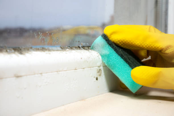 Peachtree Corners, GA Mold Removal Company