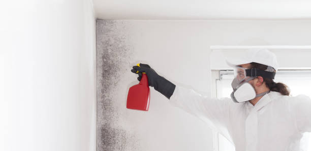 Best Mold Removal Near Me  in Peachtree Corners, GA